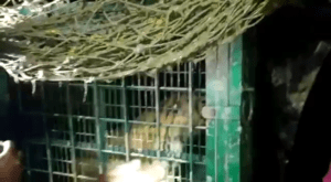 বিশেষ খবর তুমি বলবে আমি শুনবো